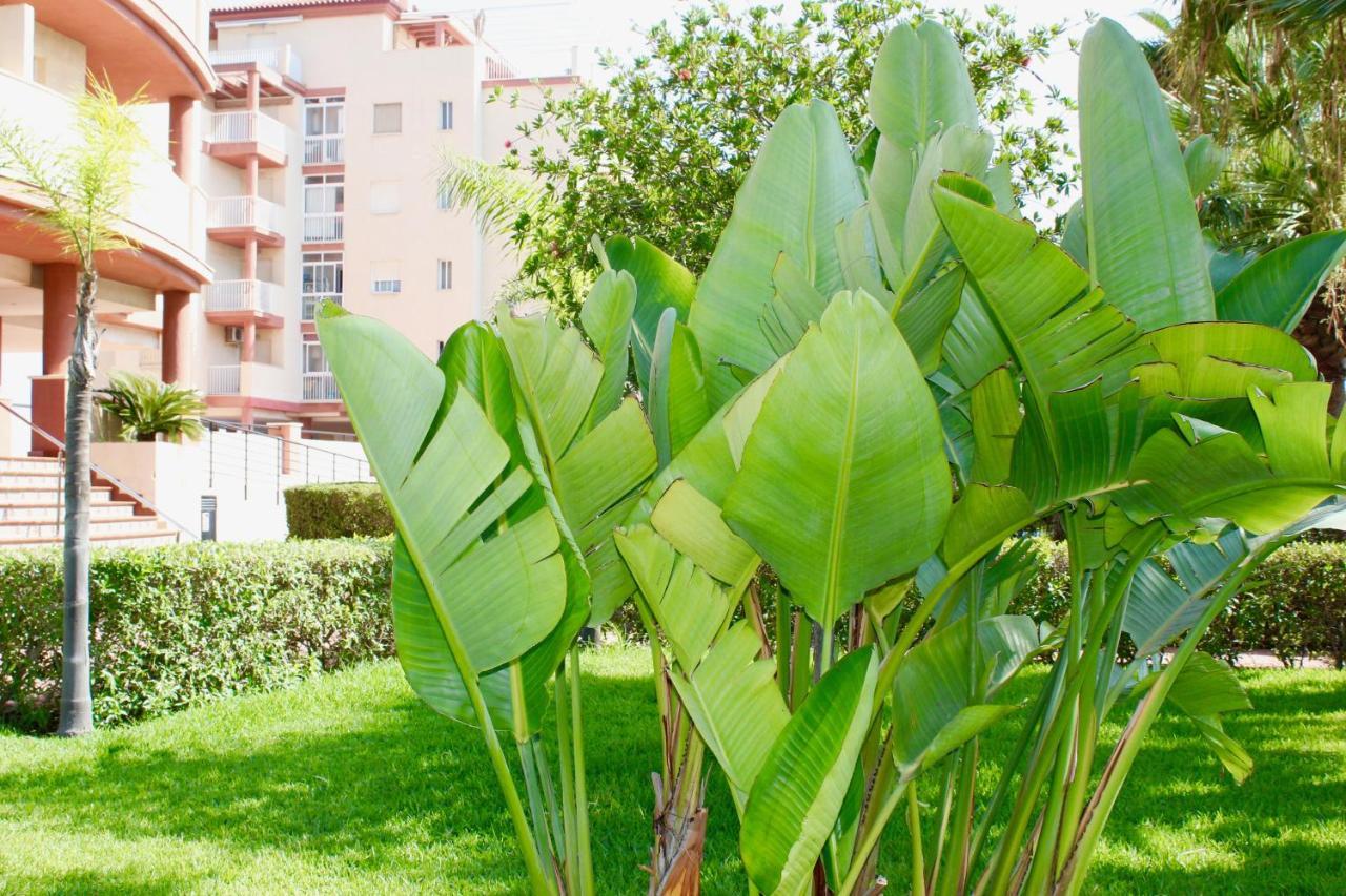 Espectacular Atico Con Parking Y Terraza Con Bbq Apartment Salobrena Ngoại thất bức ảnh